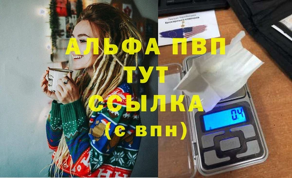 спиды Белокуриха
